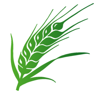 weizen-icons1